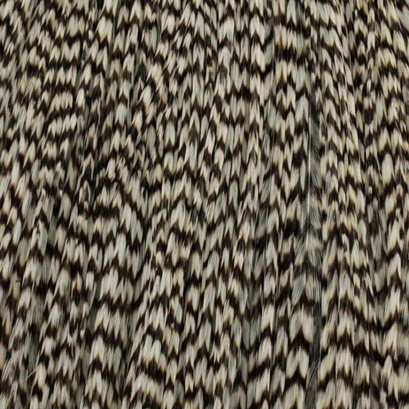 WHITING - BRONZE CAPE - immagine 3