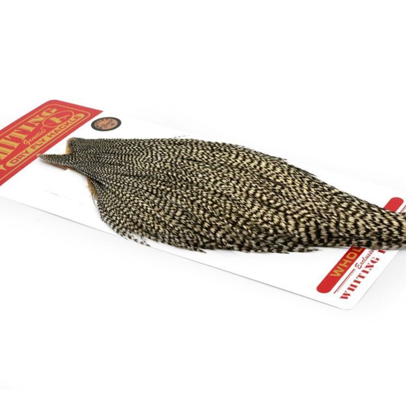 WHITING - BRONZE CAPE – Image 4
