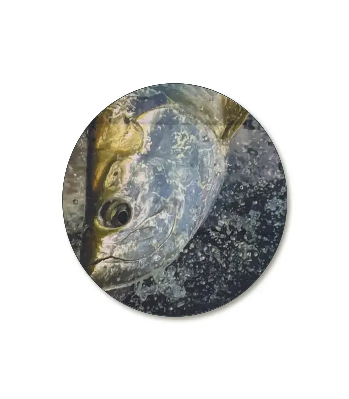 AC0036-2