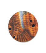 AC0036-6