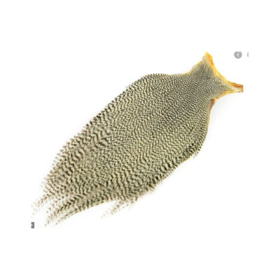 CS0003
