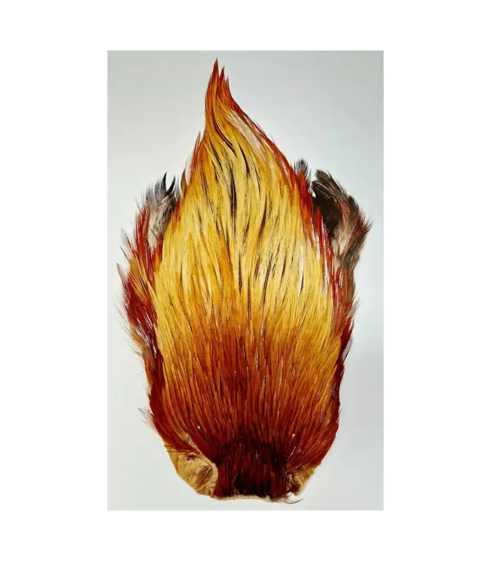CS0015[1]-11