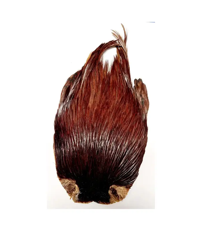 CS0015[1]-4