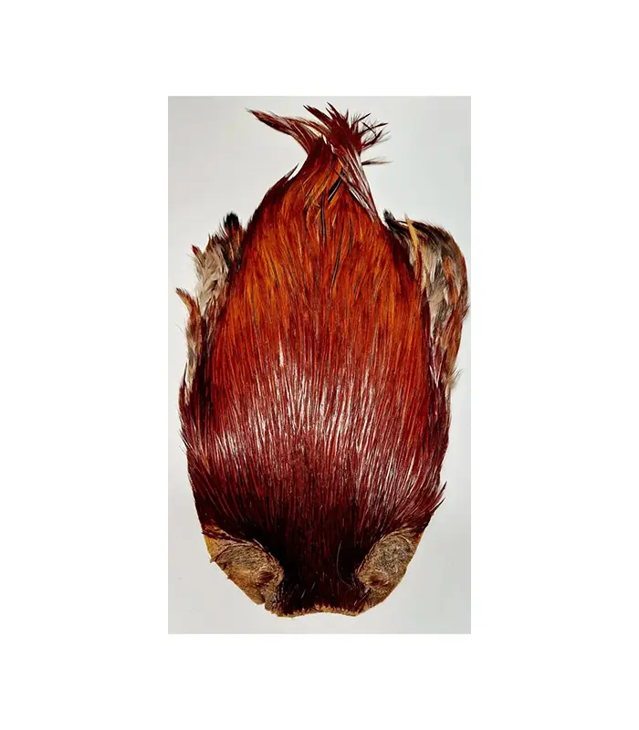 CS0015[1]-5