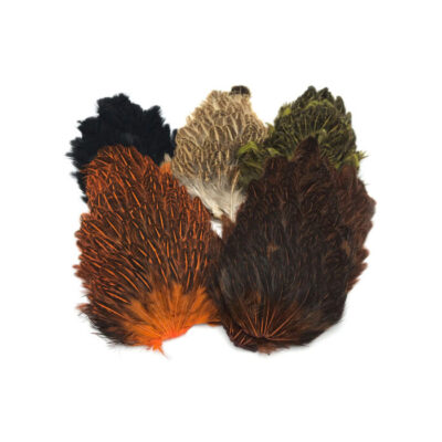 CS0015[4]
