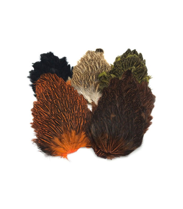 CS0015[4]