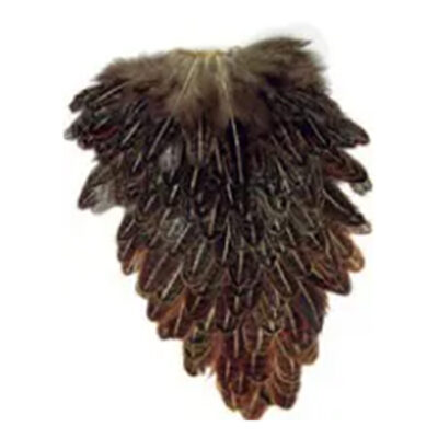 CS0016