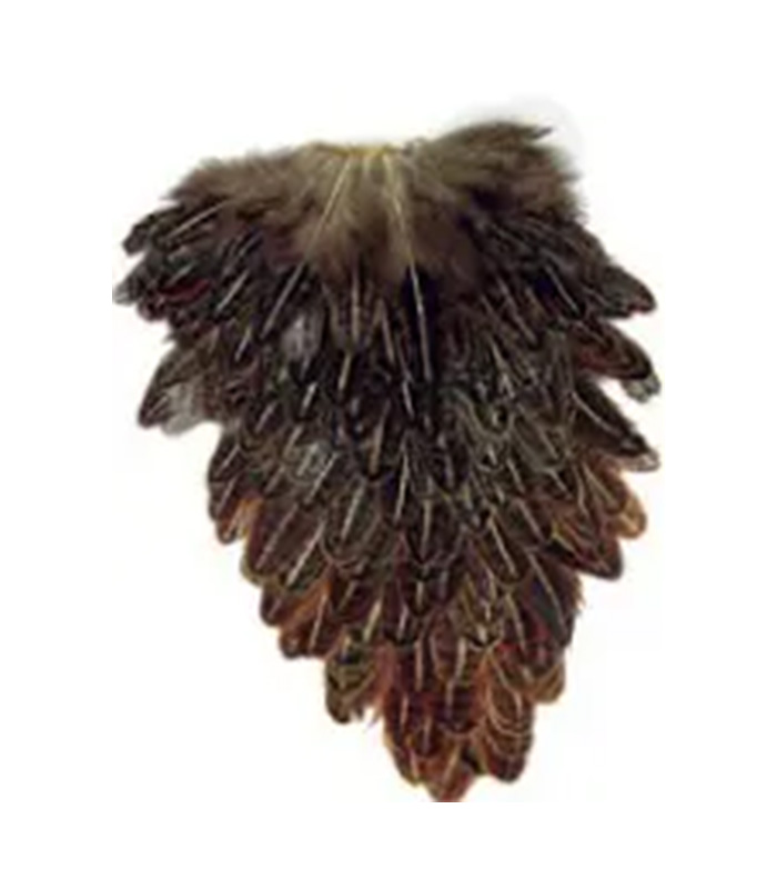 CS0016