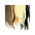 METZ - ROOSTER SADDLE MICRO BARB #1