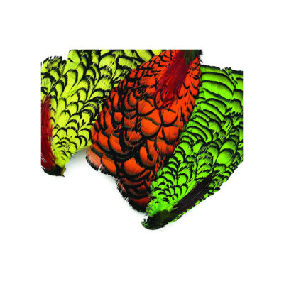 CS2045