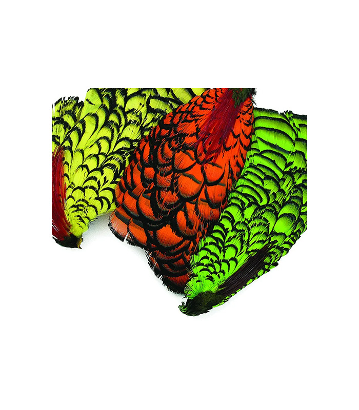 CS2045