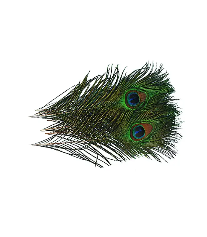 CS2054