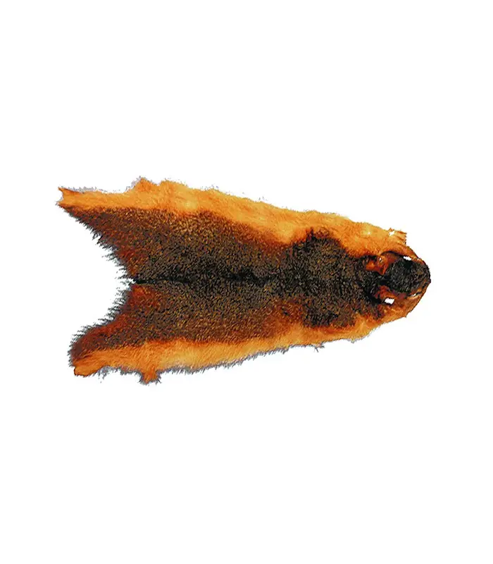 CS2090