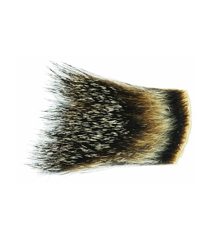 CS2101