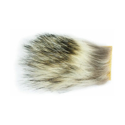 CS2104