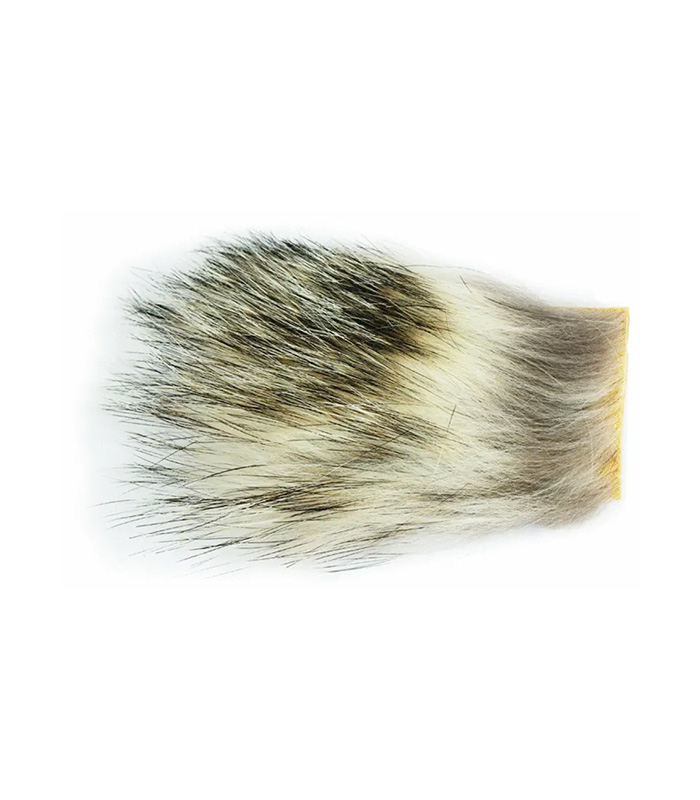 CS2104