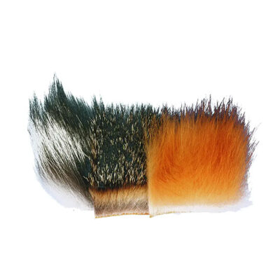 CS2105