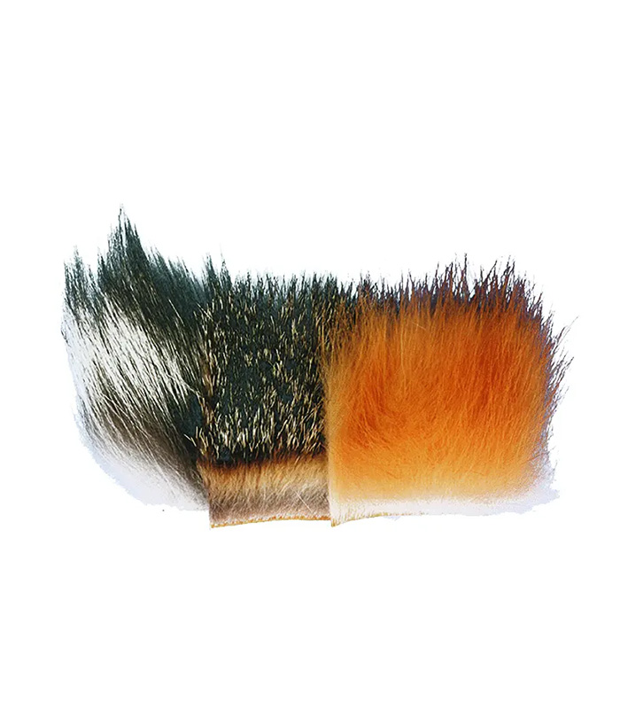 CS2105