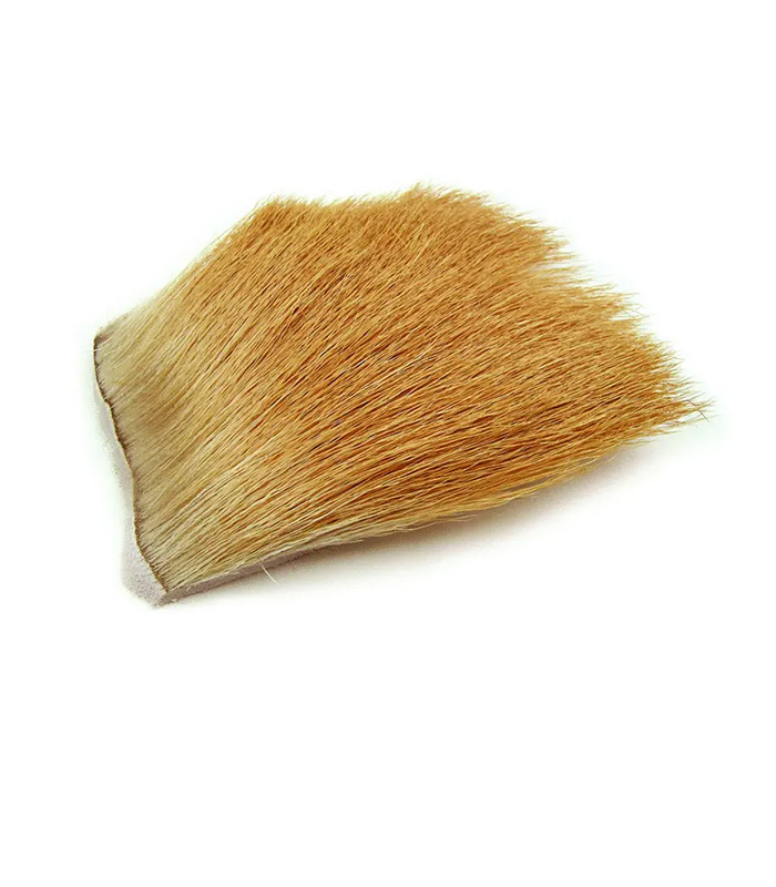 CS2116