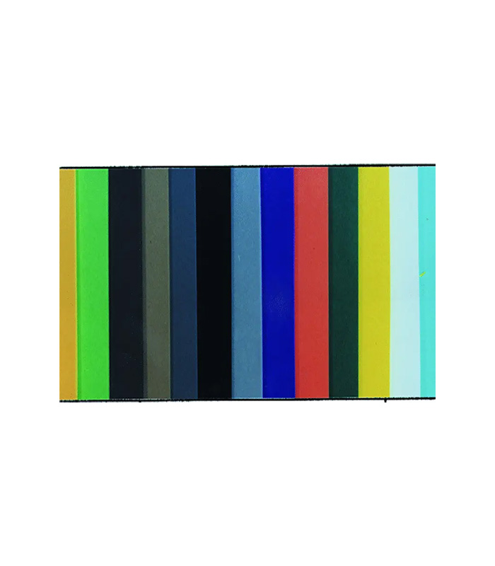 CS2181