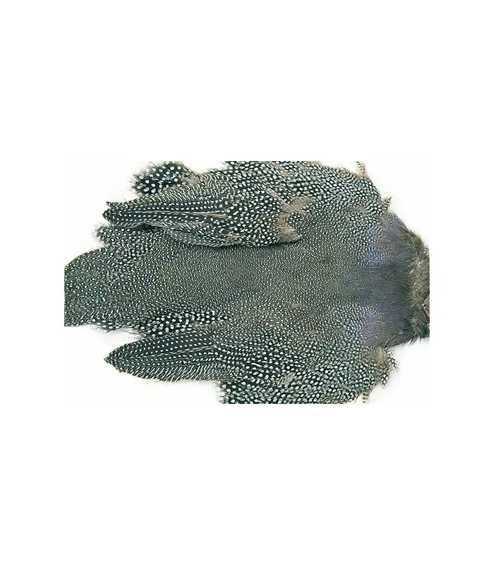 CS2372