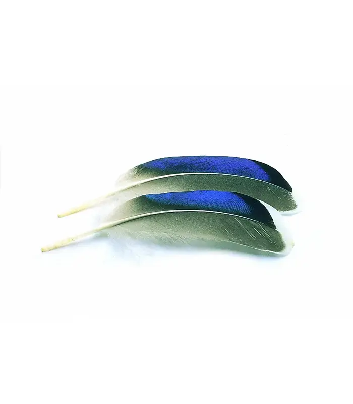VENIARD - MALLARD DUCK WING QUILLS BLUE WHITE TIP - MDWQB - GERMANO REALE