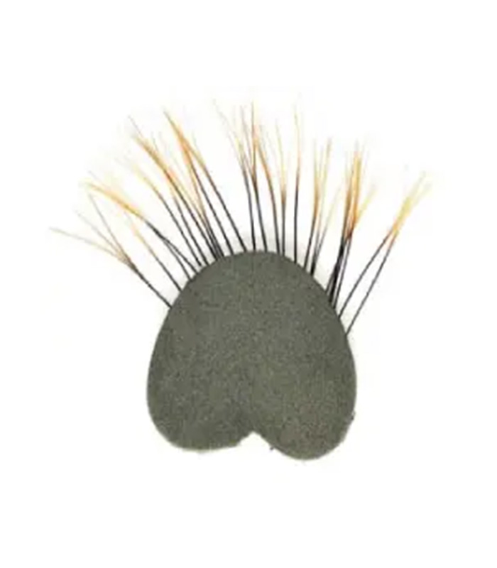 CS2452