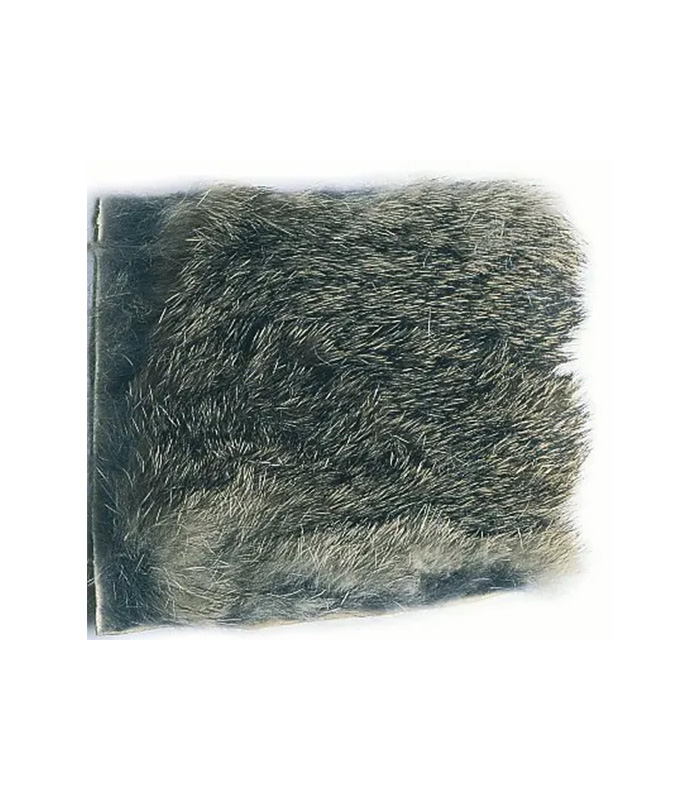 CS2460