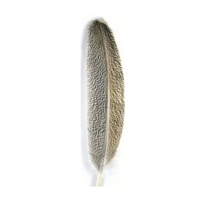 VENIARD - OAK MOTTLED TURKEY BROAD WING QUILL 1ST - TOAK1