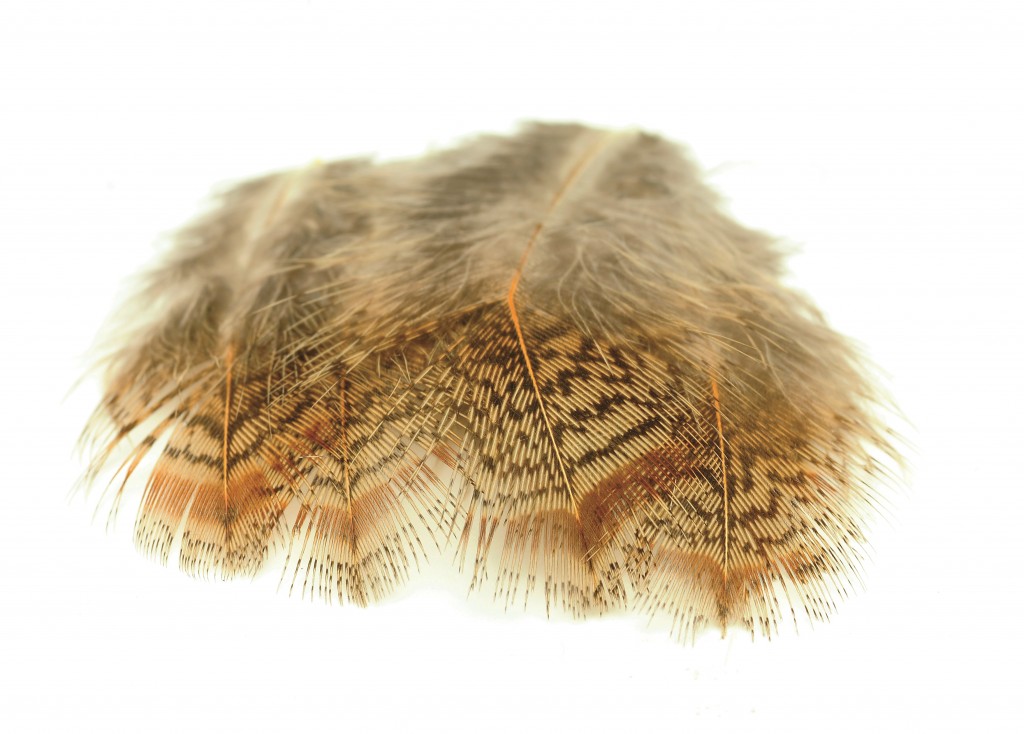 L_English Partridge brown back VENIARD - ENGLISH PARTRIDGE BROWN BACK HACKLE GR1 - EPBBH – Image 1