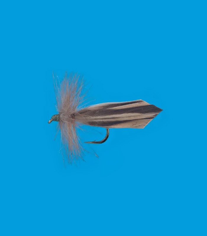 MS0033
