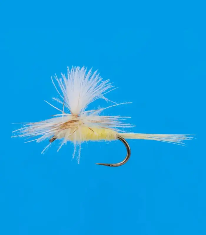 MS0182