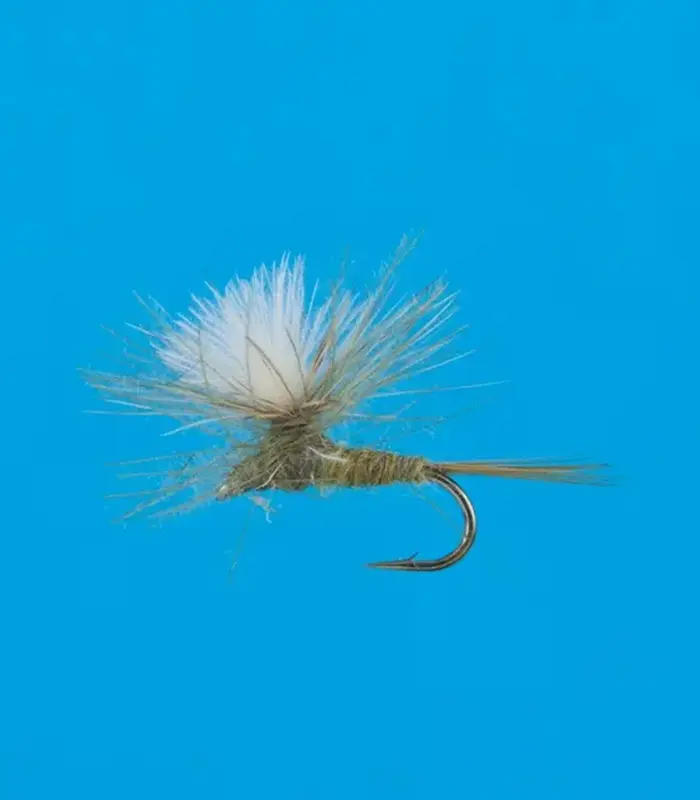 MS0183
