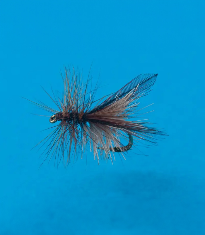 MS0195