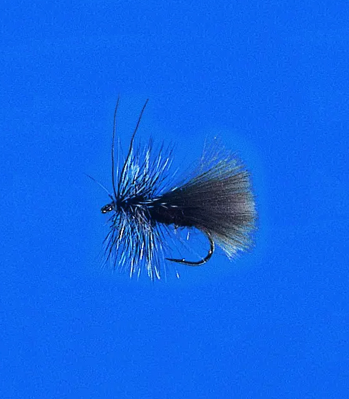 MS0243