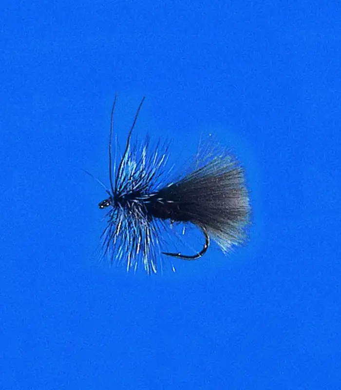 MS0243