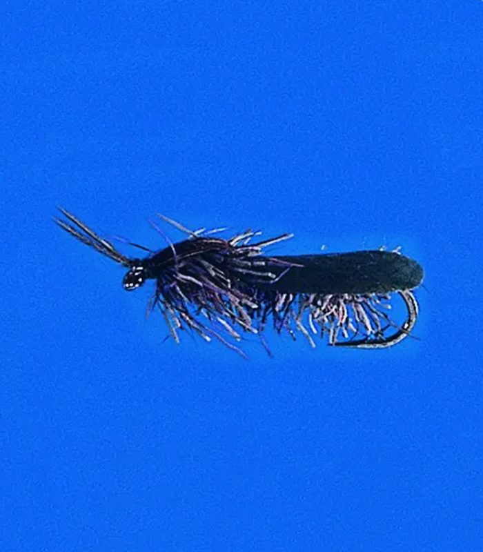 MS0250