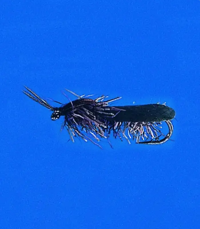MS0250
