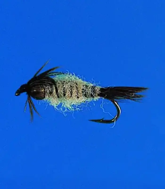 MS0270