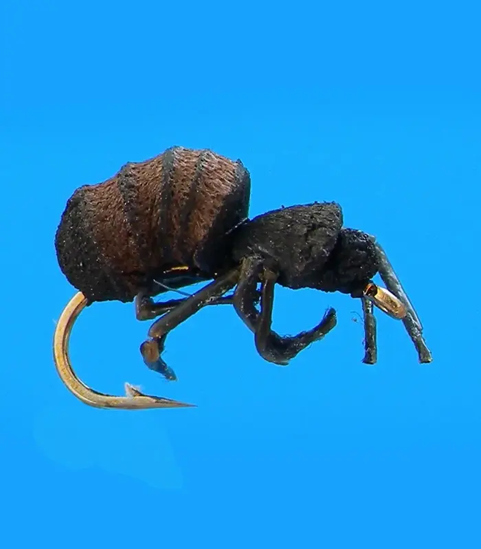 MS0298