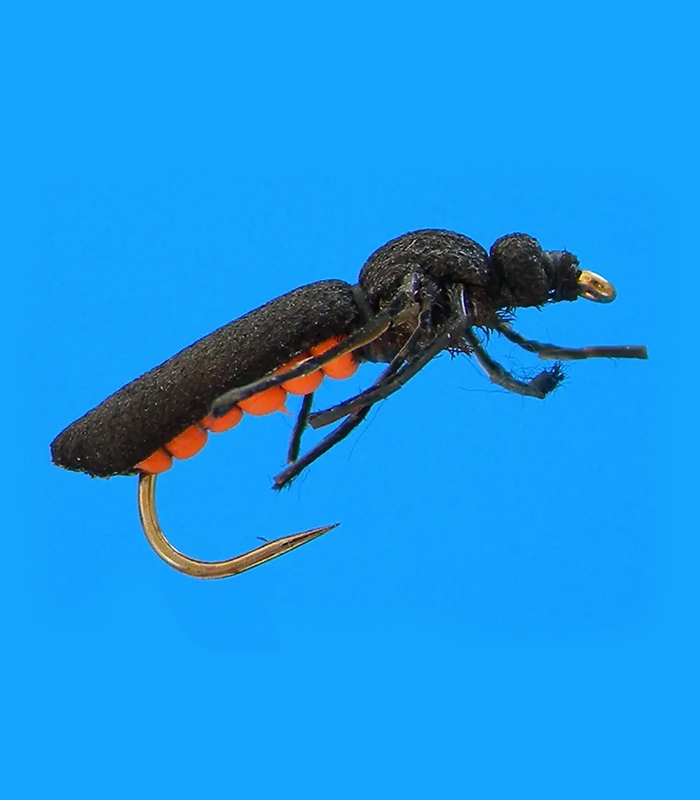 MS0304