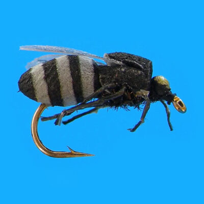 MS0305