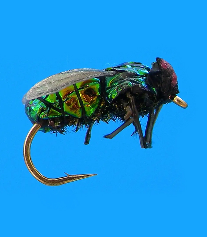 MS0306