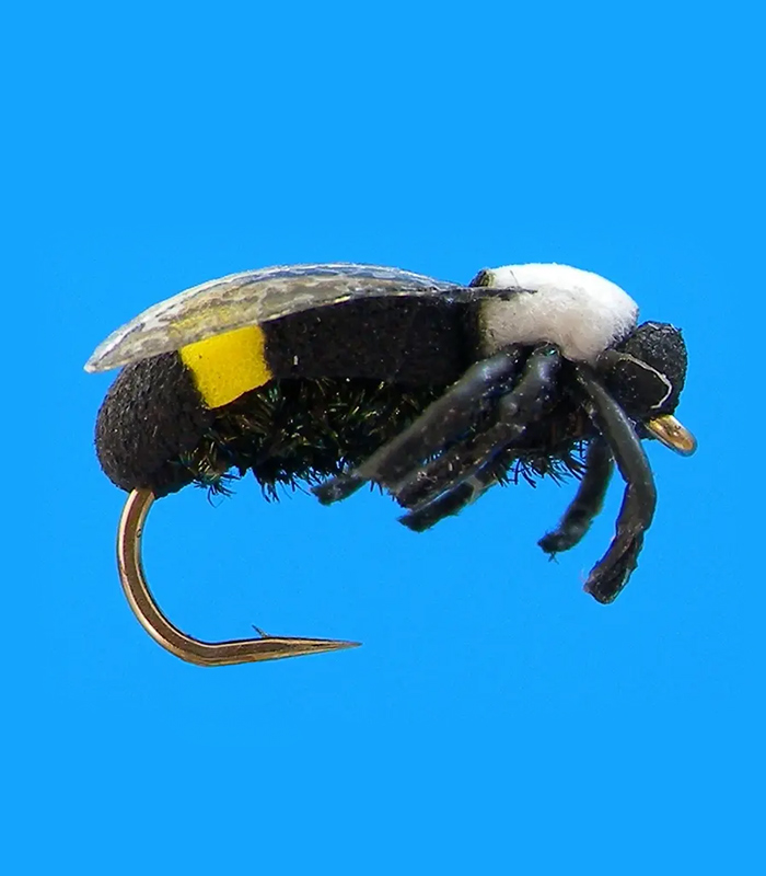 MS0311