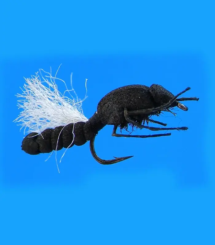 MS0317