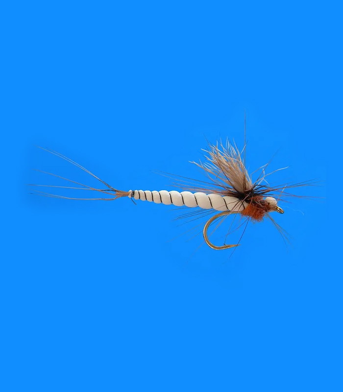 MS0325