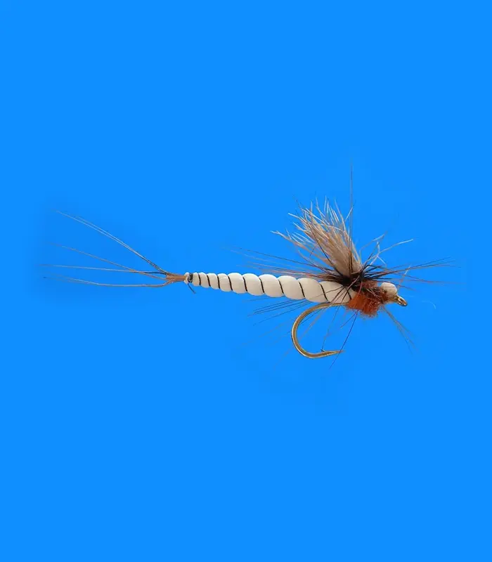 MS0325