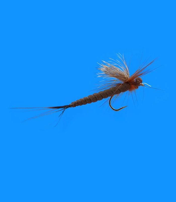 MS0326