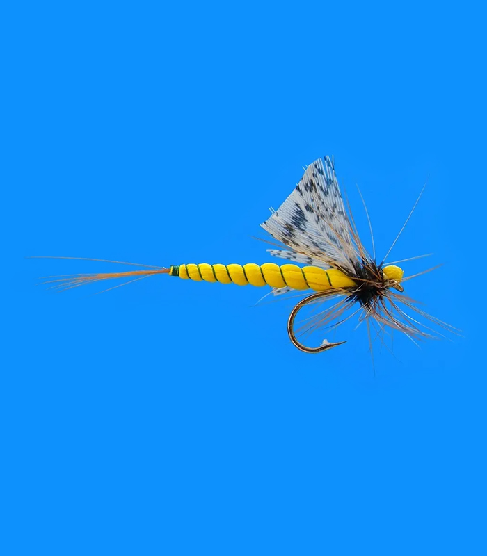 MS0327