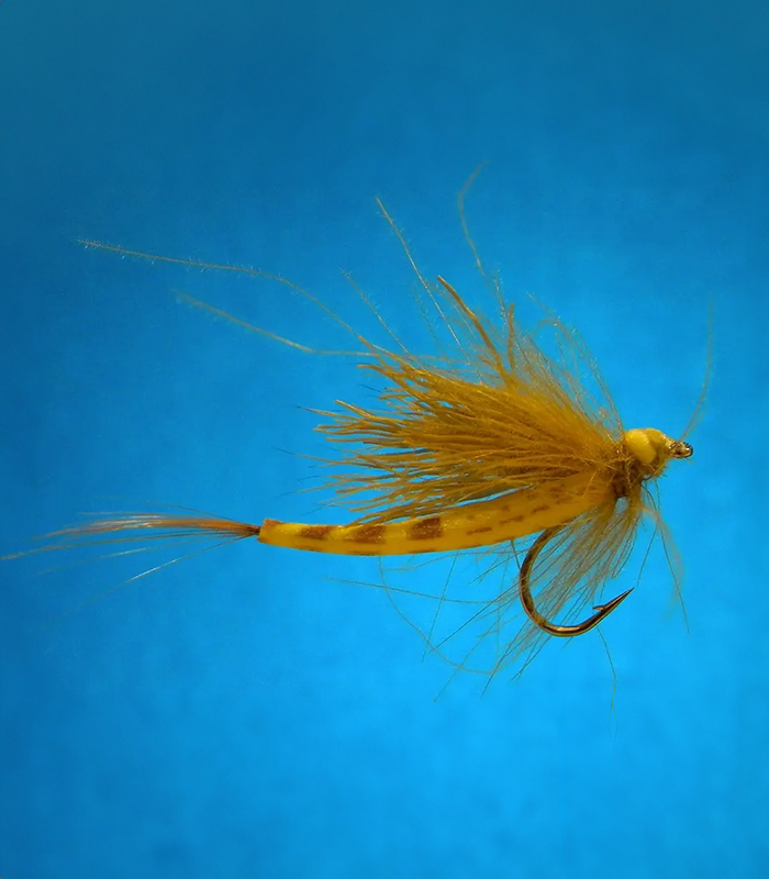 MS0334